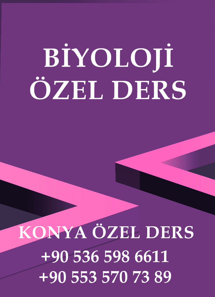 konya BİYOLOJİ özel ders